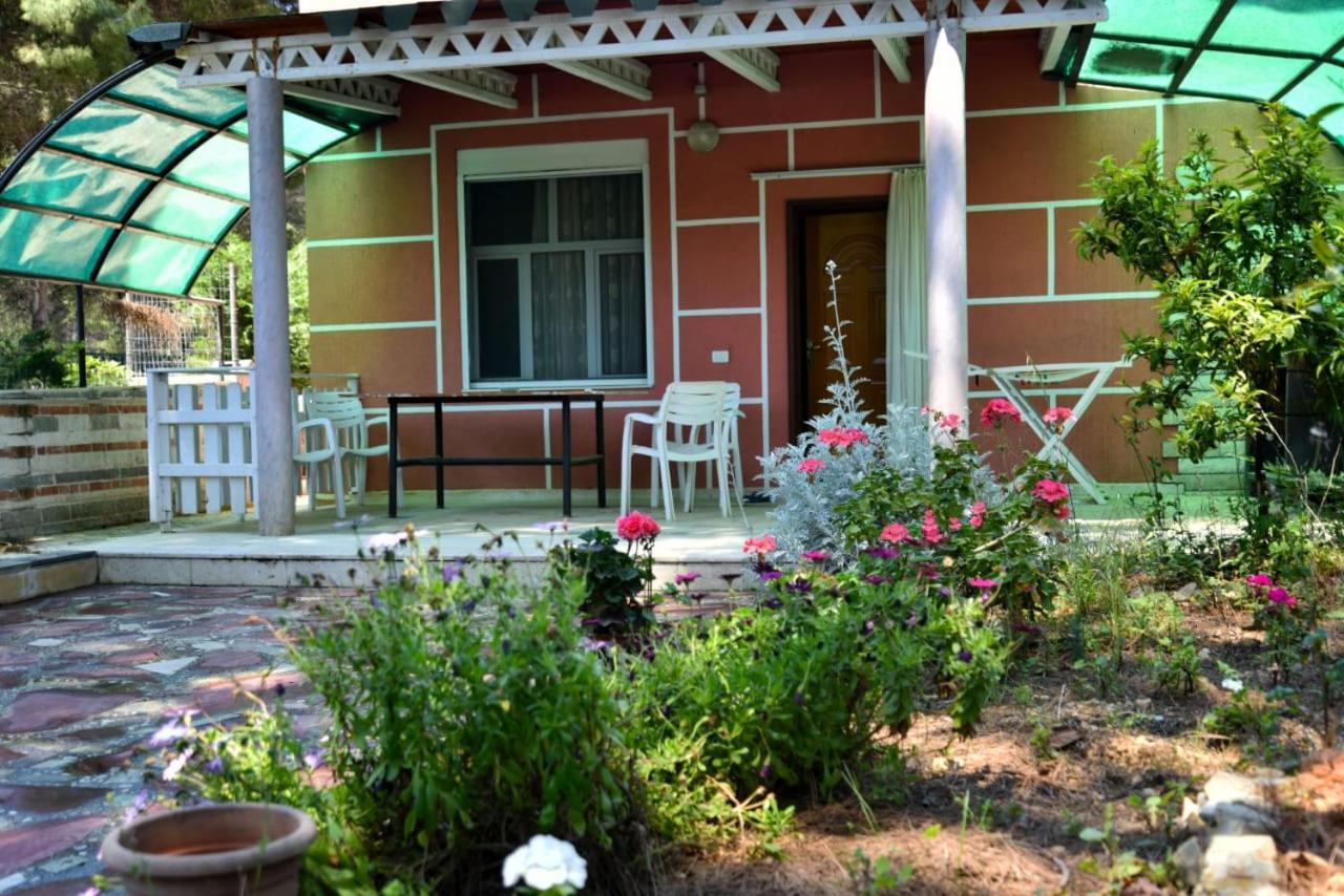 Villas Apartments Shahaj Vlorë 外观 照片